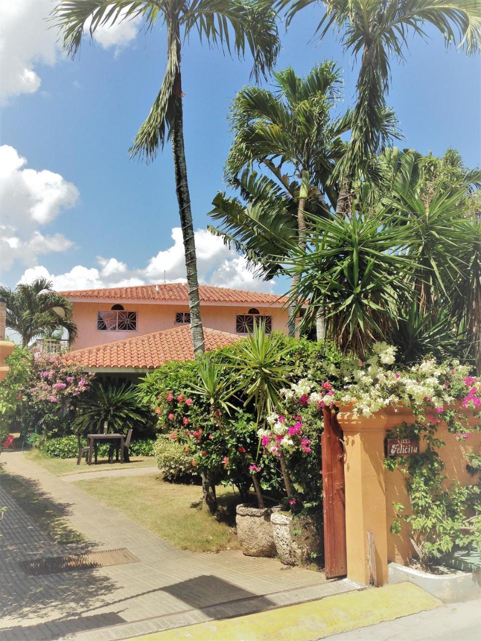 Casa Felicita B&B Y Apartamentos Bayahibe Exterior photo